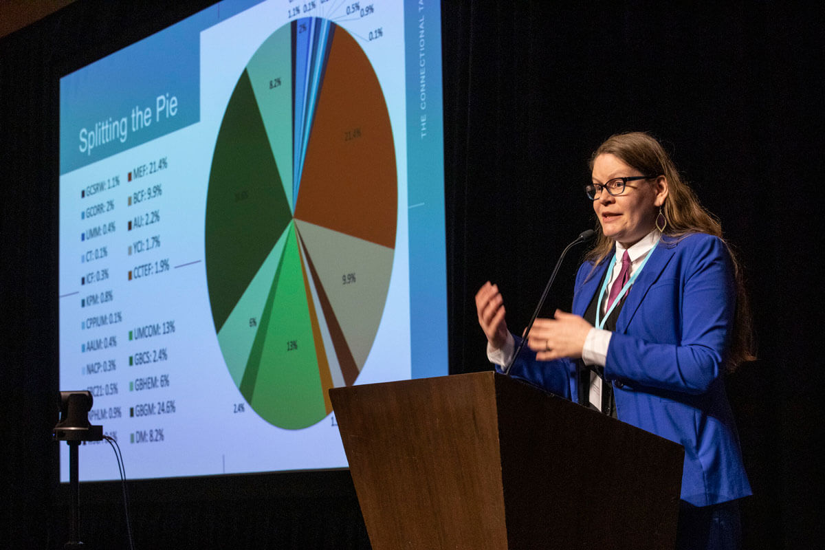The Rev. Rachel Birkhahn-Rommelfanger addresses the 2020 Pre-General Conference Briefing in Nashville, Tenn. as part of a panel on The UMC Budget and Budget Allocation Process. Birkhahn-Rommelfangeris is assistant connectional ministries officer for the United Methodist Connectional Table. Photo by Kathleen Barry, UM News.