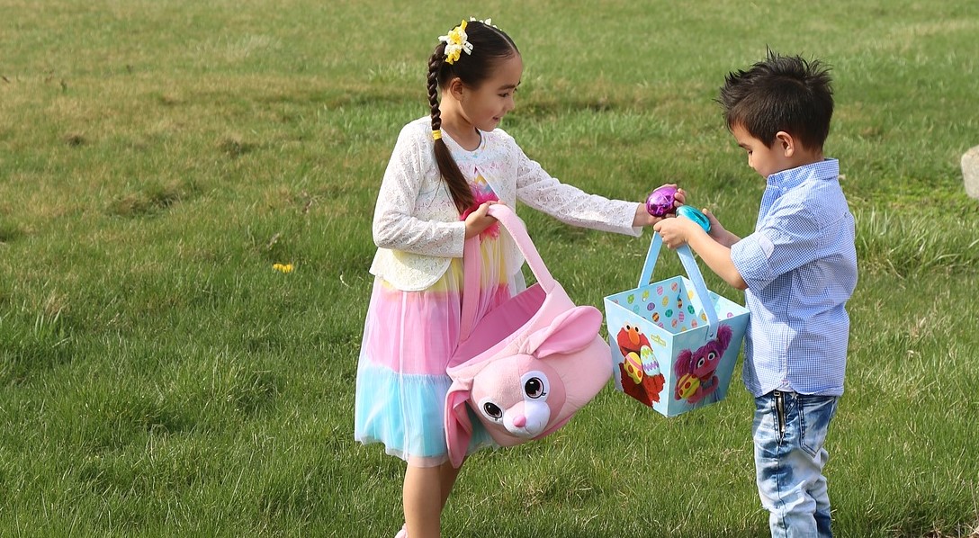 Foto por majedjalali, Pixabay .