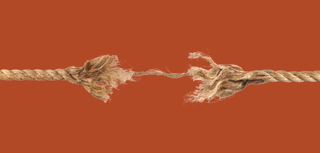 Courtesy of the Lewis Center for Church Leadership.