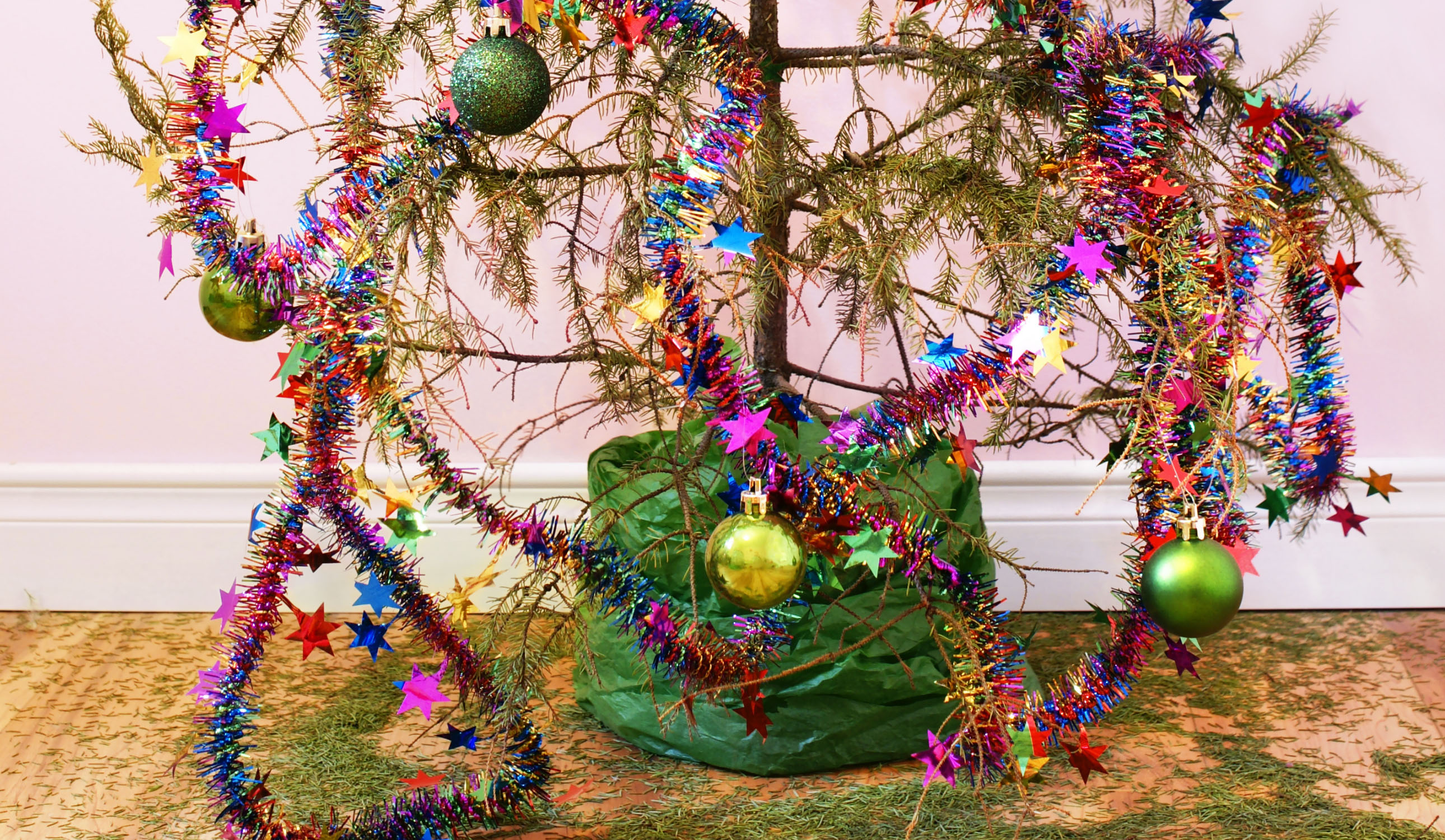 Photo by Sylvie Bourchard, courtesy of Canva/Getty Images