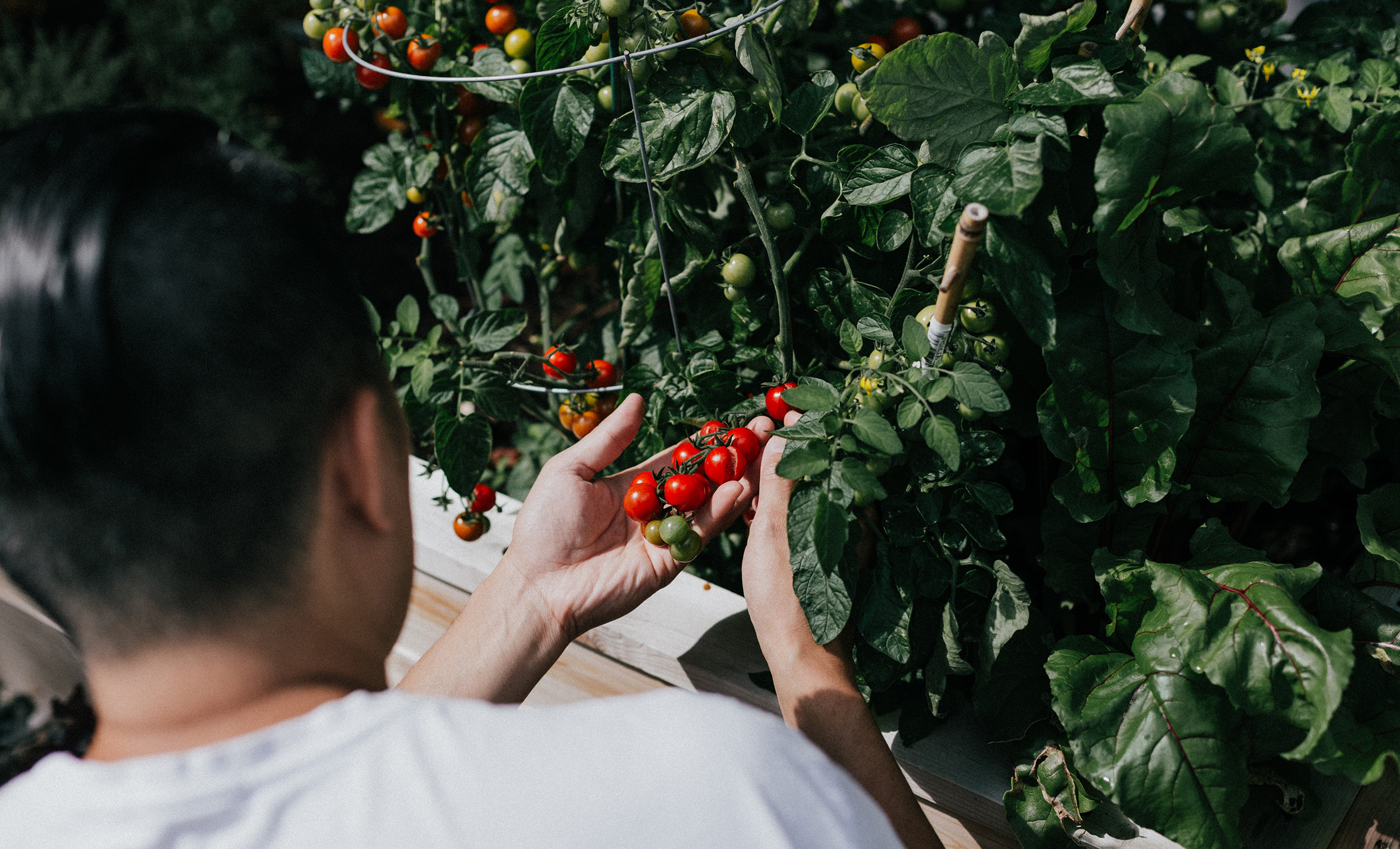 Photo courtesy of Priscilla Du Preez from Unsplash.