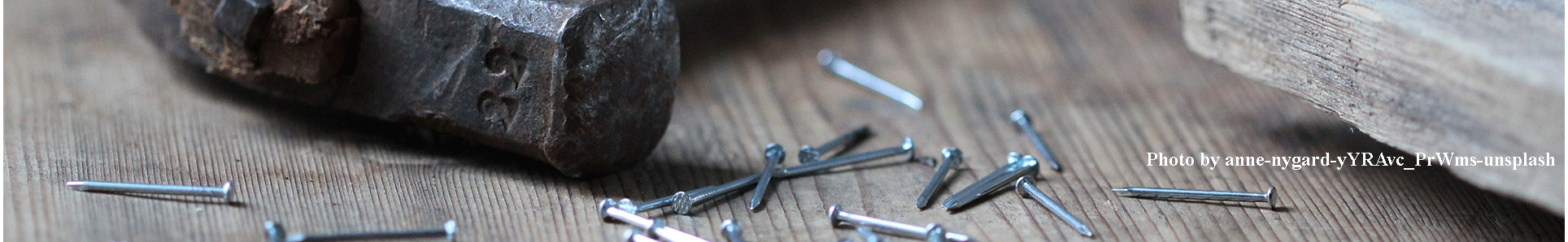 Photo by anne-nygard-yYRAvcPrWms-Unsplash