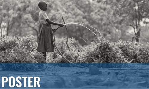 2025_HRD_quadrennial_poster_tag_grid_image_500x300