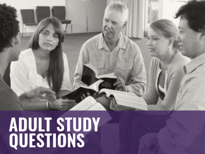 2025_2019_PWJS_adult_questions