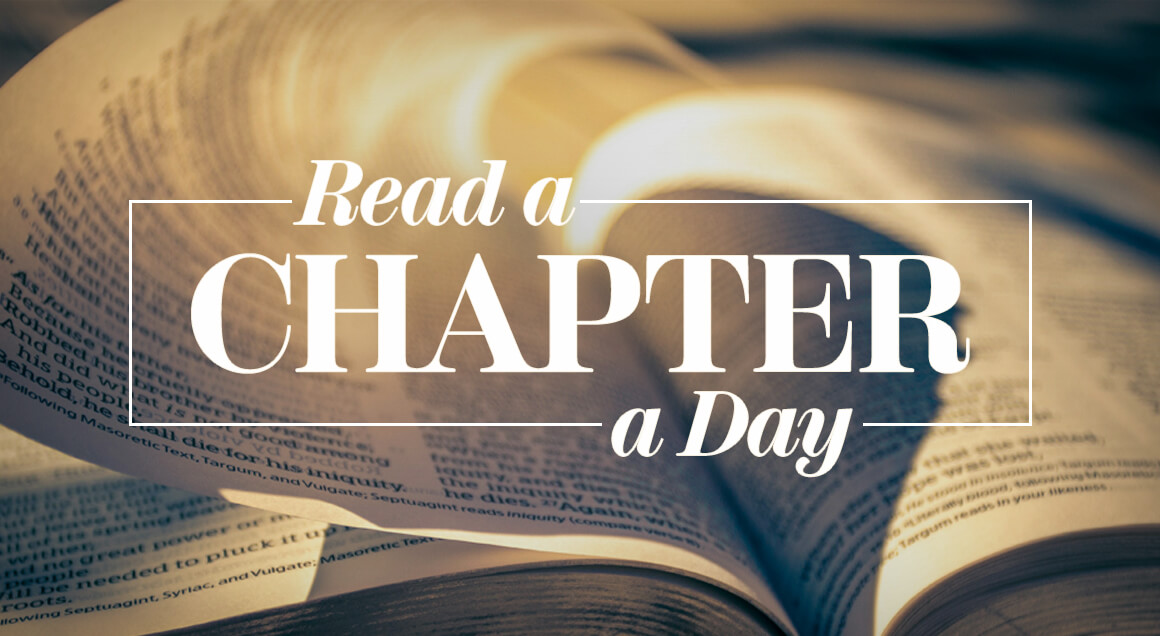 Article_ChapterADay